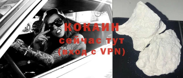 спиды Богданович