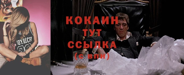 спиды Богданович