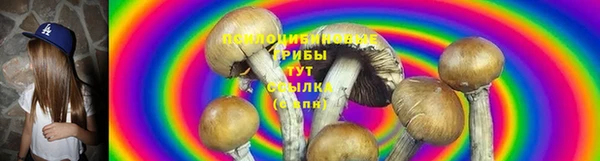 спиды Богданович