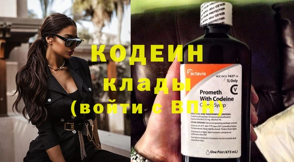 спиды Богданович